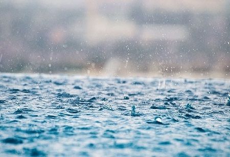 UAEREP's Groundbreaking Article Featured in Nature Research Journal